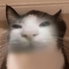 tagsdesign's avatar